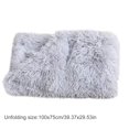 thumbnail image 2 of pitrice Pet Blanket Plush Small Animals Mat Warm Soft Pad 2 Layer Carpet Bed Couch Throw Rug, Light Gray, L, 2 of 9