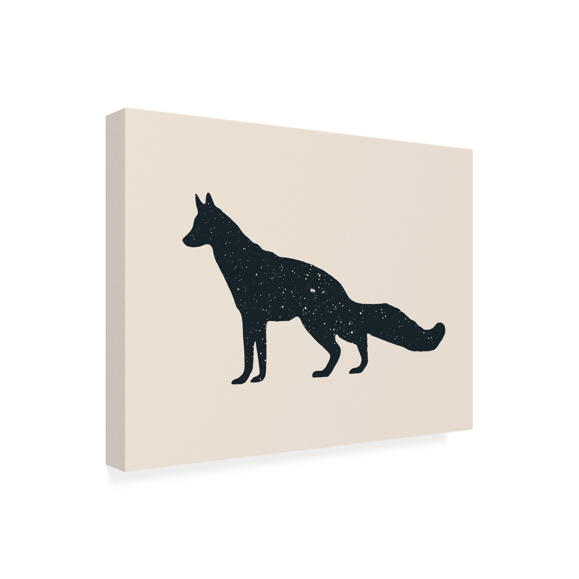 Trademark Fine Art Florent Bodart  Fuchs Canvas Wall Art