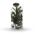 thumbnail image 4 of WGV Clear Cylinder Glass Vase - 7" Wide x 12" Height, Good quality, Heavy Weighted Base - 1 Pc, 4 of 7