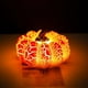 thumbnail image 5 of Luces LED, lámpara de escritorio, luz de noche, luz de libro, calabazas de otoño de Halloween para decoración de bandejas escalonadas, mini centros de mesa iluminados con LED a batería para decoracion, 5 of 5