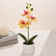 thumbnail image 1 of Artificial Potted Phalaenopsis Orchid with Bendable Stems for Home Office Desk Wedding Decor 1 Count, 1 of 9