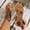 #0137-Brown, variant on Xucatan Women's Bohemian Flat Sandals, Gold Embellished Elastic Crisscross Strap Roman Shoes, Open Toe Casual Summer Footwear with Toe Loop, Versatile Ethnic Design for Beach Gift