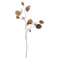 thumbnail image 1 of Bouclair Natural Artificial Eucalyptus Berries, 1 of 2
