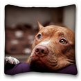 thumbnail image 1 of QIFEIHA Dog Pillowcase Cushion Cover Two Sides Printing Size 18x18 inch, 1 of 2