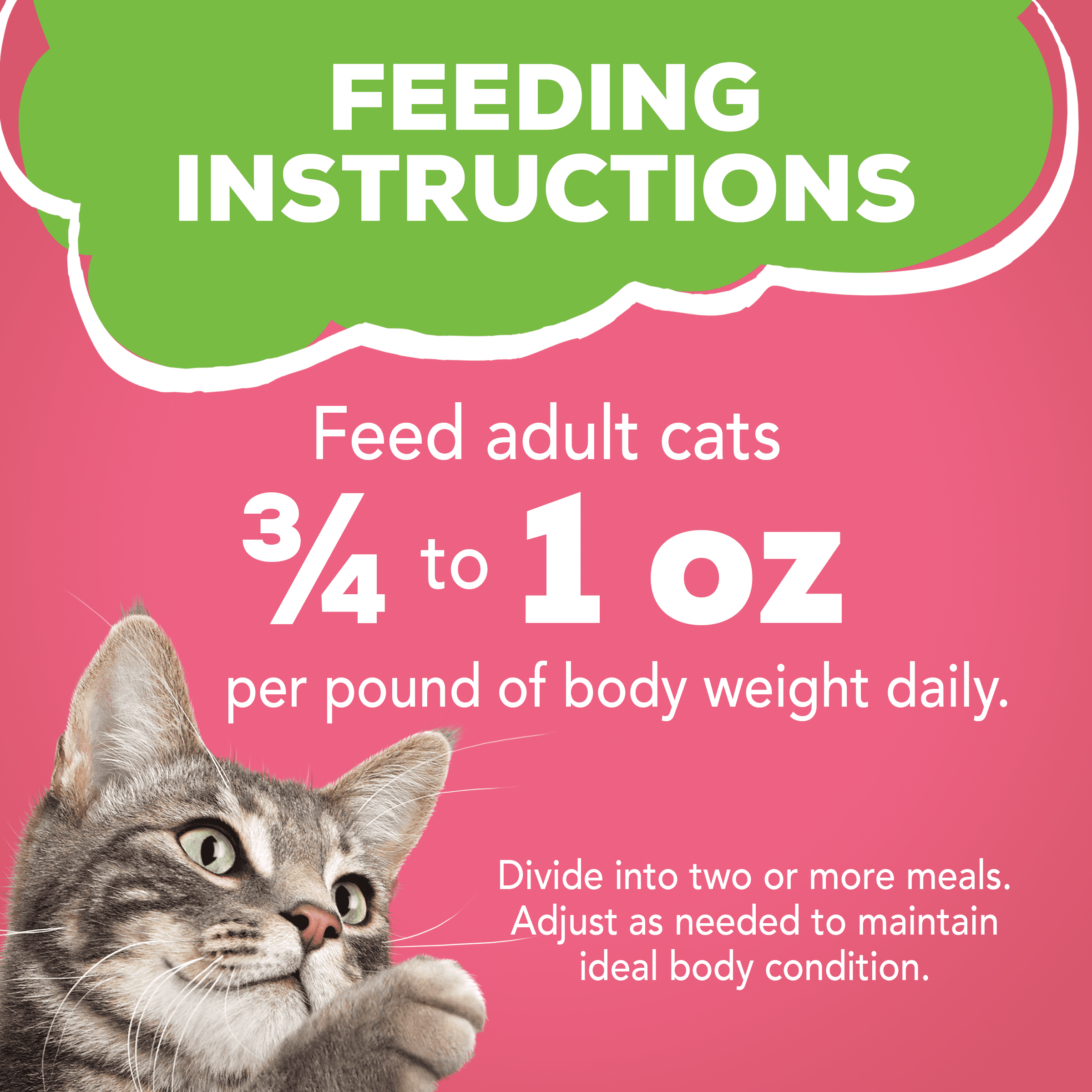 friskies pate salmon dinner