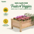 thumbnail image 2 of Greenes Fence Premium Cedar Elevated Garden Bed, 24" W x 48" L x 19" H, 2 of 8