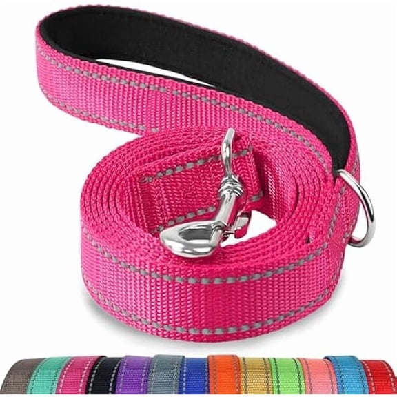 Eryueer Double-Sided Reflective Dog Leash, 6 FT/5FT/4 FT, Padded Handle Nylon Dogs Leashes for Walking, Training Lead for Medium & Large Dogs, Hotpink, 5FT