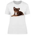 thumbnail image 1 of A Chihuahua, Lying Down T-Shirt Women -Image by Shutterstock, Female Medium, 1 of 2