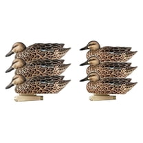 Greenhead Gear Pro-Grade Decoy,Blue-Winged Teal/Early Season Hen Pack,1/2 Dozen