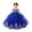 Blue, variant on Girls Princess Dress Lace Embroidery Mesh Sleeve Tulle Floor Length Maxi Dress Ball Gown for Baptism Party Birthday Communion Formal