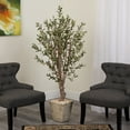 thumbnail image 3 of 5ft. Olive Artificial Tree in Country White Planter, 3 of 3