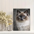 thumbnail image 2 of Birman Cat Portrait Canvas Print Wall Art for Living Room Bedroom Office Home Pet Lover Gift Decor, 2 of 8