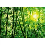 Ideal Décor Bamboo Forest Unpasted Paper Wall Mural, 100.8 sq. ft.