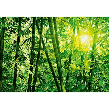Ideal Décor Bamboo Forest Unpasted Paper Wall Mural, 100.8 sq. ft.