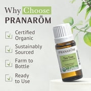 Pranarom USDA Certified Organic Tea Tree Essential Oil (15ml), 100% Pure Undiluted Therapeutic Grade from Zimbabwe for Aromatherapy, Diffuser, Healthy Skin & Hair, Massage, Relaxation