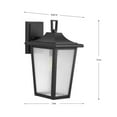 thumbnail image 7 of Padgett Collection One-Light Transitional Textured Black Clear Seeded Glass Outdoor Wall Lantern, 7 of 7
