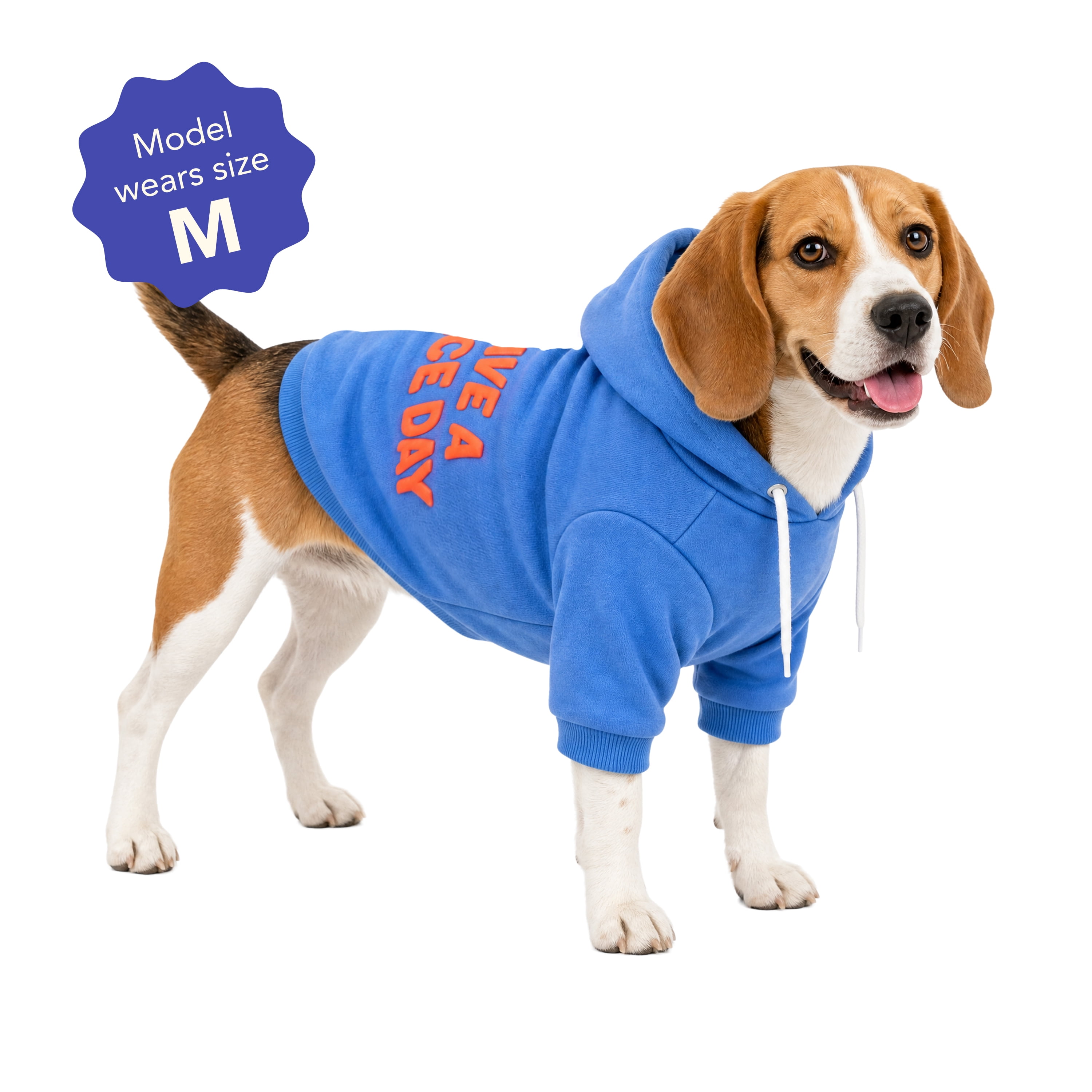 Oodles Have A Nice Day Fall Dog Hoodie, Blue, Medium