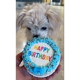 thumbnail image 2 of DEZICAKES Lot of 6  Crispy Vanilla Blue Dog Birthday Cakes- Edible Puppy Party Crispy Vanilla Rice Cake-   Boxed, Iced and Decorated, 2 of 10