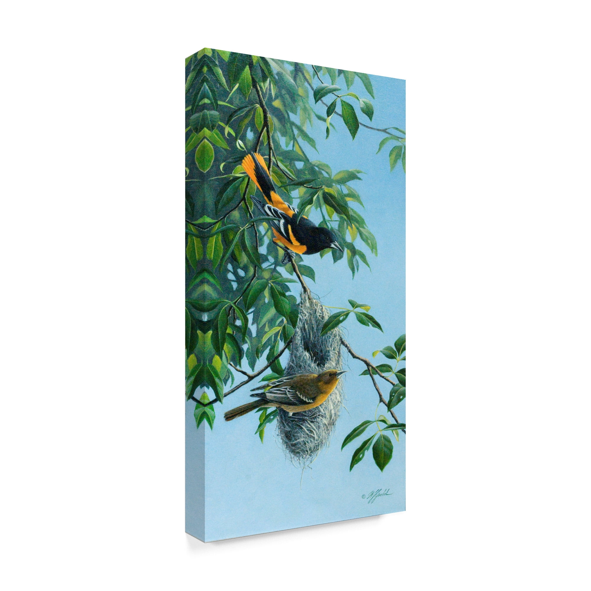 Trademark Fine Art 'Nesting Orioles' Canvas Art by Wilhelm Goebel