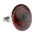 thumbnail image 1 of 6xWaterproof E27 Heat Light Bulb Breeding Lamp Infrared Heater Bulbs 100W, 1 of 5
