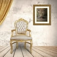 thumbnail image 3 of Rawat, Chaitanya 12x14 Gold Ornate Wood Framed with Double Matting Museum Art Print Titled - A Mesmerising Gaze Of The Fierce, 3 of 4