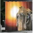thumbnail image 4 of Ambesonne African Shower Curtain, Savannah Leopard on Tree, 69"Wx84"L, Orange Brown, 4 of 5