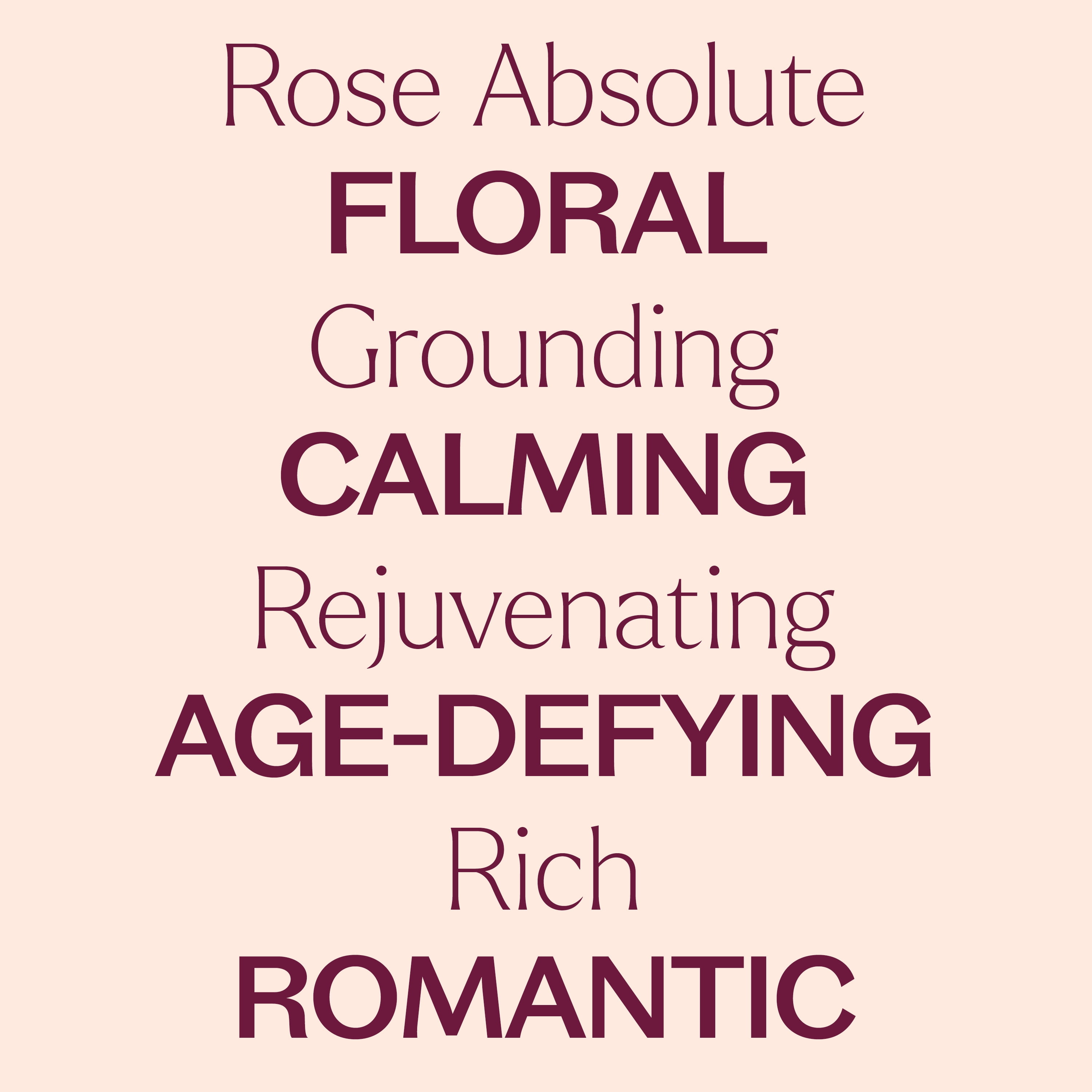 Plant Therapy Pure Rose Absolute Essential Oil 100% Pure, Undiluted, Natural Aromatherapy, Natural Aromatherapy 5 mL (1/6 oz)