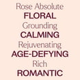 thumbnail image 4 of Plant Therapy Rose Absolute Essential Oil 100% Pure, Undiluted, Natural Aromatherapy 10 mL (1/3 oz), 4 of 7