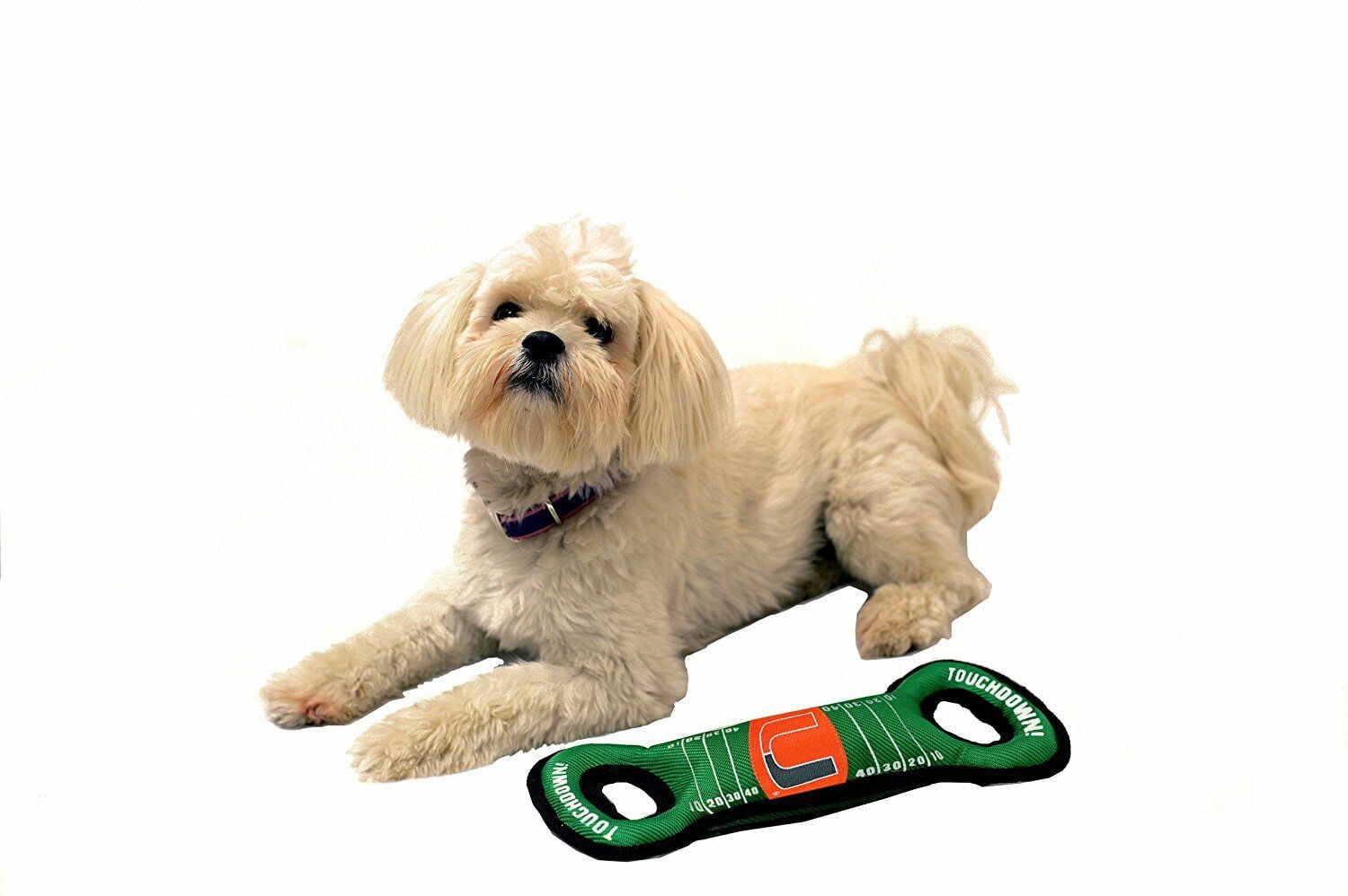 Pets First Collegiate Miami Hurricanes Football Field Toy for DOGS & CATS. Heavy-Duty, Durable toys with Squeakers