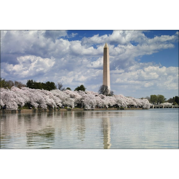 24"x36" Gallery Poster, Washington Monument & Tidal Basin with cherry tree blossoms