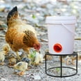 thumbnail image 1 of unbranded Soporte Para Bebedero De Gallinas De Metal Resistente Color Negro Para Granjas Domésticas, 1 of 8