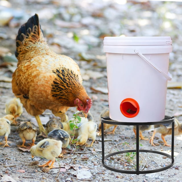 unbranded Soporte Para Bebedero De Gallinas De Metal Resistente Color Negro Para Granjas Domésticas