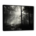 thumbnail image 2 of Designart "Silence Photography: Black And White Forest I" Forest Floater Framed Wall Art Living Room, 2 of 5