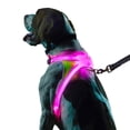 thumbnail image 1 of Noxgear LightHound â Revolutionary Illuminated and Reflective Harness for Dogs Including Multicolored LED Fiber Optics (USB Rechargeable, Adjustable, Lightweight, Rainproof) (Large), 1 of 9