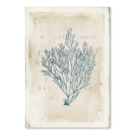 UPC: 0686457546867 | Americanflat Sea Garden Ii by Katie Pertiet Poster Art Print Print