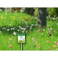 thumbnail image 2 of Wildflowers Do Not Mow Sign, No Mow Sign, Wildflower Sign, 8 x 12 inch, Set of 1, Sturdy Aluminum Sign Weatherproof, Fade Resistant, Outdoor Use, Garden & Lawn Decor, 2 of 5