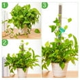thumbnail image 3 of GLFILL Stackable Moss Pole with Self Watering Feature Promotes Thriving Foliage Effortless Planting Perfect for Monstera mushroom, 3 of 9