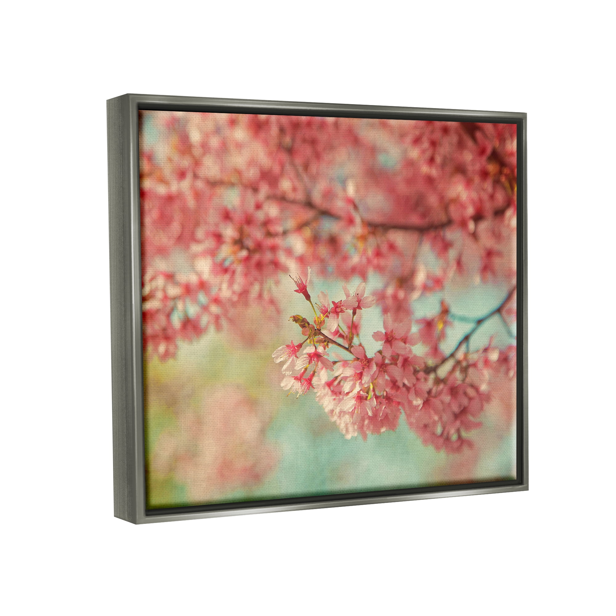 Stupell Industries Pink Cherry Blossoms Botanical & Floral Photography Gray Floater Framed Canvas Art Print Wall Art, 21 x 17