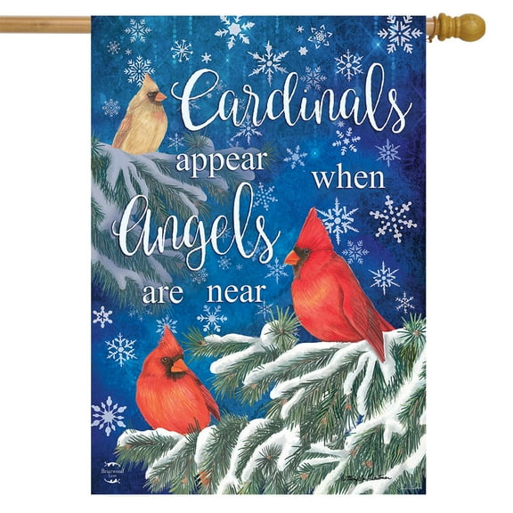 Briarwood Lane Cardinals Appear Winter House Flag