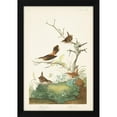 thumbnail image 2 of John James Audubon 17x24 Black Modern Wood Framed Wall Art Titled - Pl. 360 Winter Wren, 2 of 6