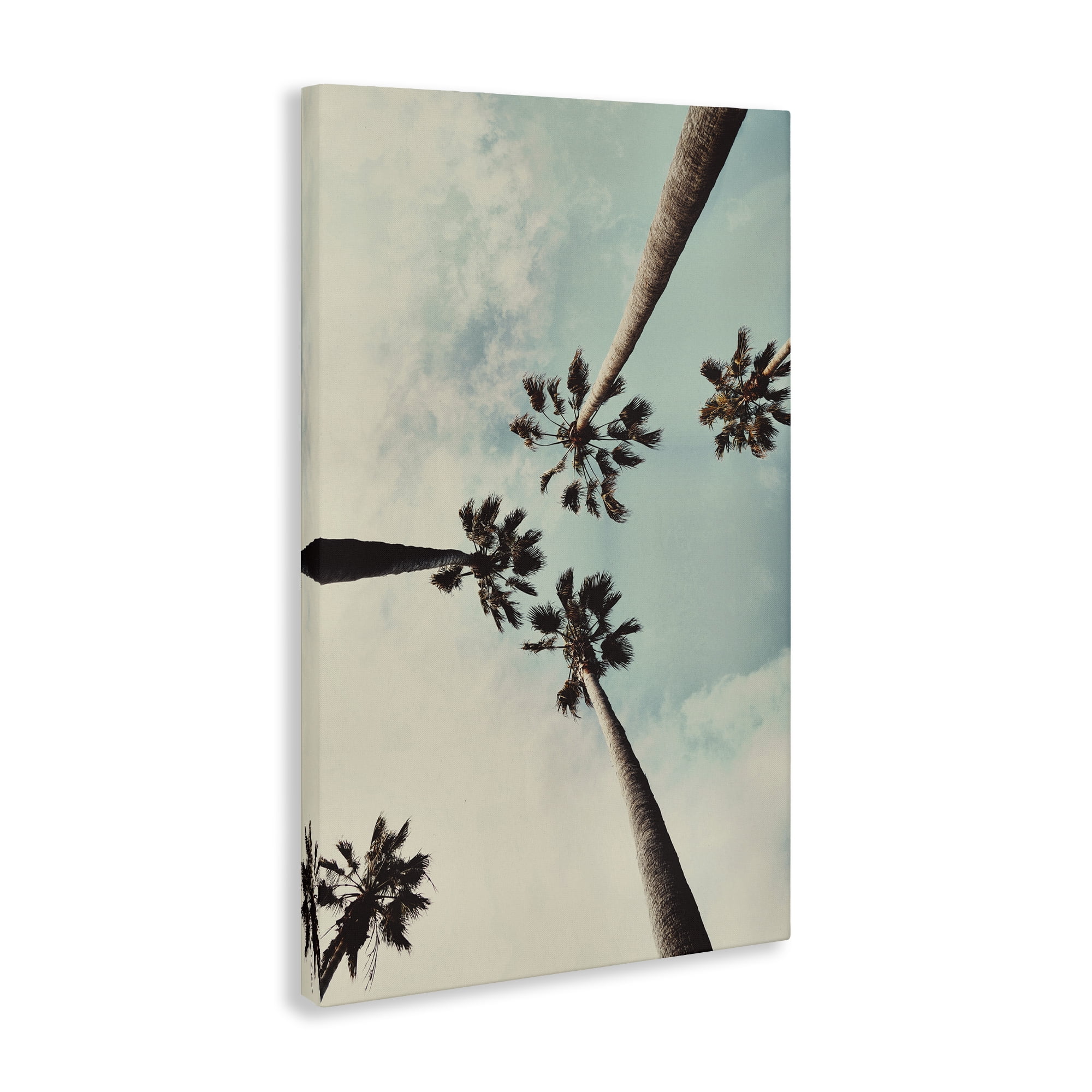 Stupell Industries Centric Tropical Palms Botanical & Floral Photography Gallery Wrapped Canvas Art Print Wall Art, 30 x 45