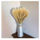 thumbnail image 4 of Ramo De Trigo Naturaleza Muerta Decoracion 150 Espigas, 4 of 5