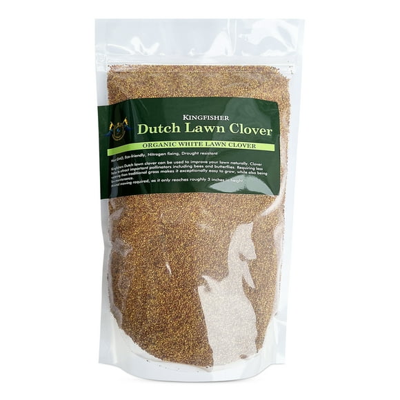 1 Pound Dutch Lawn Clover Seed | Organic Clover Seeds For Canadian Lawns | Non Gmo Lawn Seeds | White Lawn Clover Seeds for Canada | Perrenial Lawn Clover | Trefle Blanc | Micro grass seed