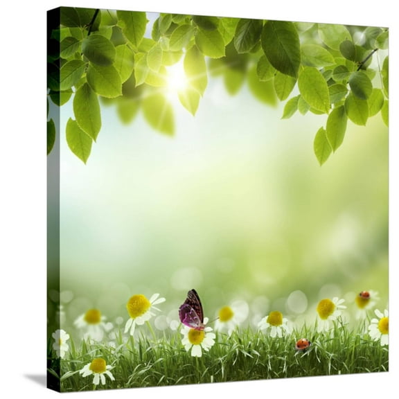 Art.com Spring or Summer Season Abstract Nature Background with Grass and Blue Sky in the Back Stretched Canvas Print Wall Art by Krivosheev Vitaly, 24" x 24"