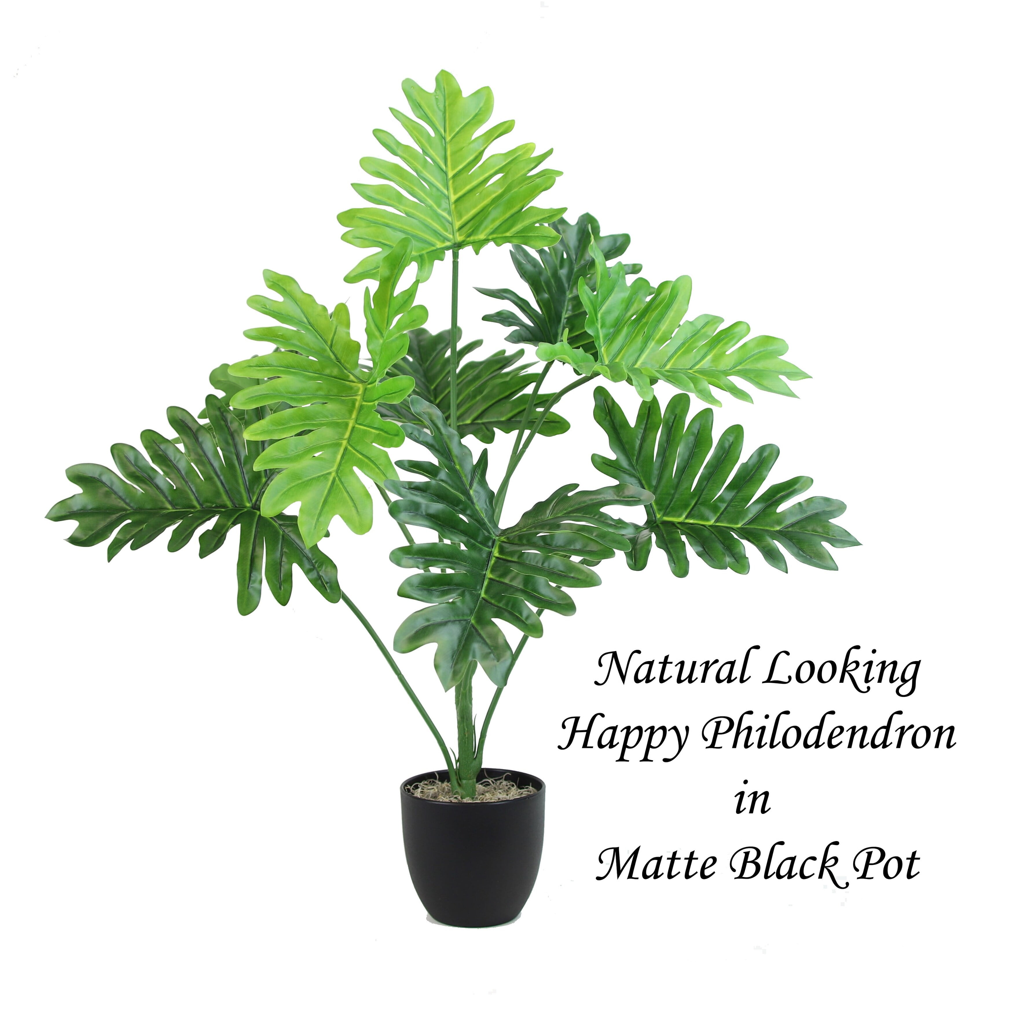 The Mod Greenhouse 32" Artificial Green Silk Happy Philo Tabletop Plant in Black Matte Pot