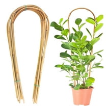 16" Natural Bamboo Plants Trellis U-Hoop,Bexikou 10 Pack Plant Support Trellis,Flower Trellis Stakes,Bamboo Garden Trellis U-Shape for Climbing Plant Support