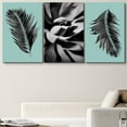 thumbnail image 1 of PixonSign Canvas Print Wall Art Set Palm Leaf & Succulent Display Floral Wilderness Photography Modern Art Rustic Relax/Calm Multicolor Black and White for Living Room, Bedroom, Office - 16"x24"x3, 1 of 5