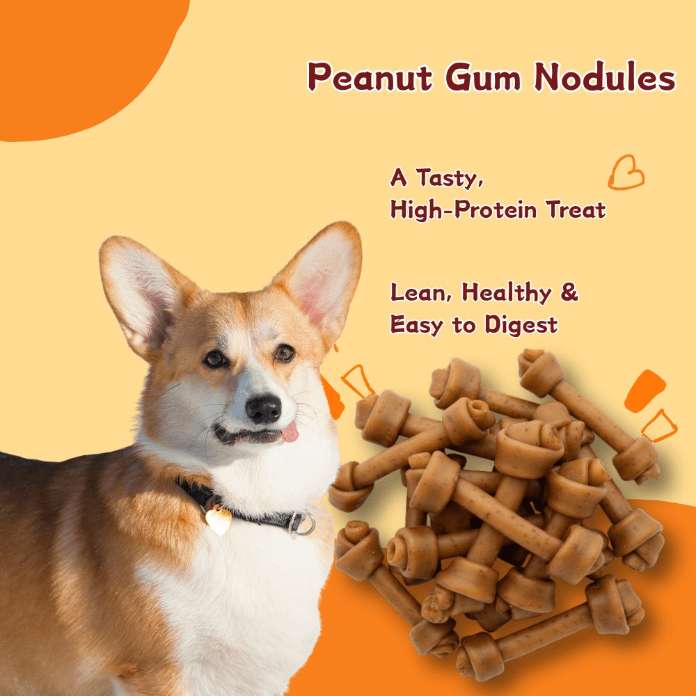 Tender Touch Peanut Butter Flavor Dog Treats, Crunchy Oven-Baked Biscuits Made with Real Peanut Butter, All-Natural and Wholesome Snack, 1.76 Pound oz Bag