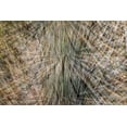 thumbnail image 2 of Jaynes Gallery 32x23 White Modern Wood Framed Museum Art Print Titled - USA-Arizona-Phoenix-Yucca cactus abstract, 2 of 4