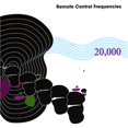 thumbnail image 1 of 20,000 [REMASTERED VERSION], 1 of 2
